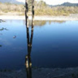 Meet your Posher, It just